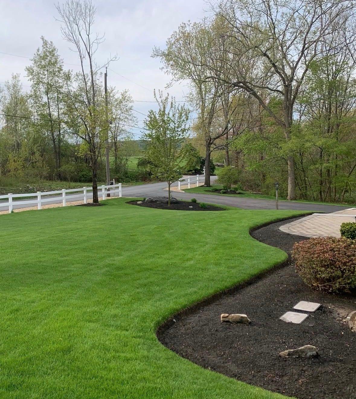 Sharp black mulch edge cut against a green lawn beside a paver walkway