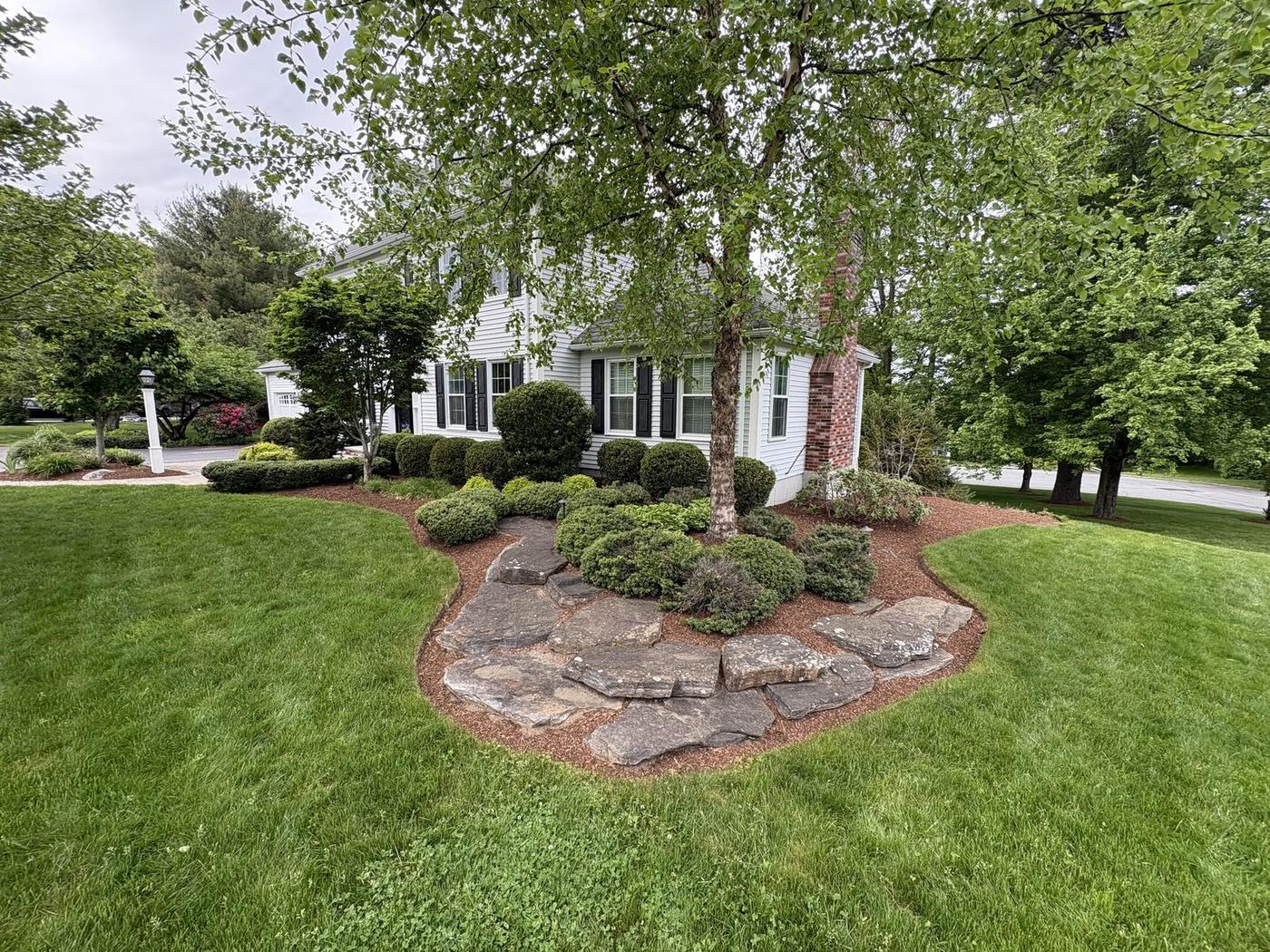 Boulder feature bed with sheared shrubs around a front-yard tree